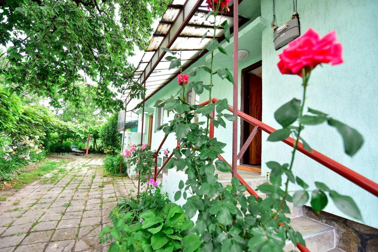 Villa Flh - House Angelique Hermannstadt Exterior foto